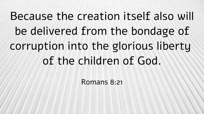 Because the creation itself also will be delivered from the bondage of corruption into the glorious liberty of the children of God. - Romans 8:21