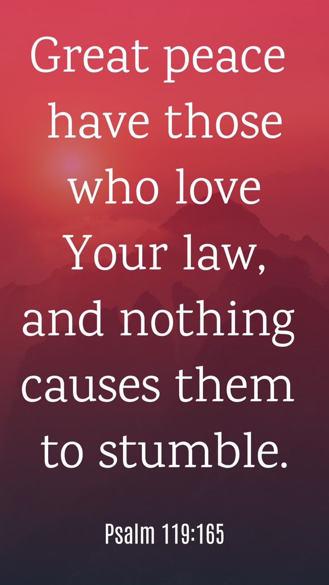 Great peace have those who love Your law, and nothing causes them to stumble. - Psalm 119:165