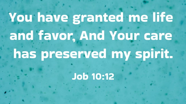 You have granted me life and favor, And Your care has preserved my spirit. - Job 10:12
