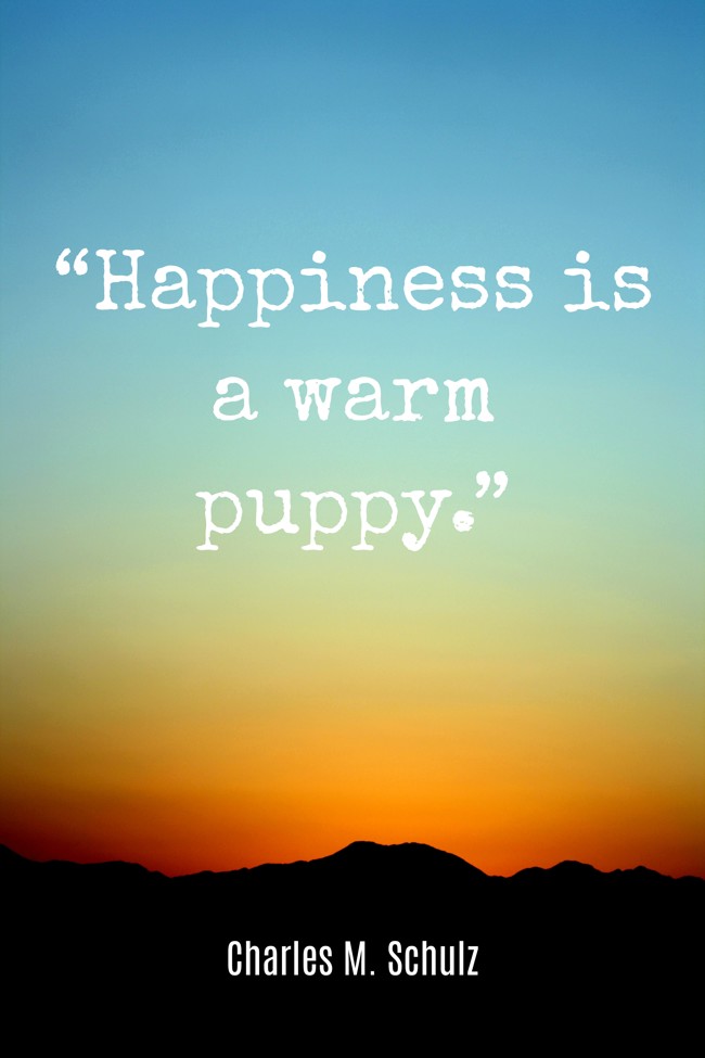 “Happiness is a warm puppy.” - Charles M. Schulz
