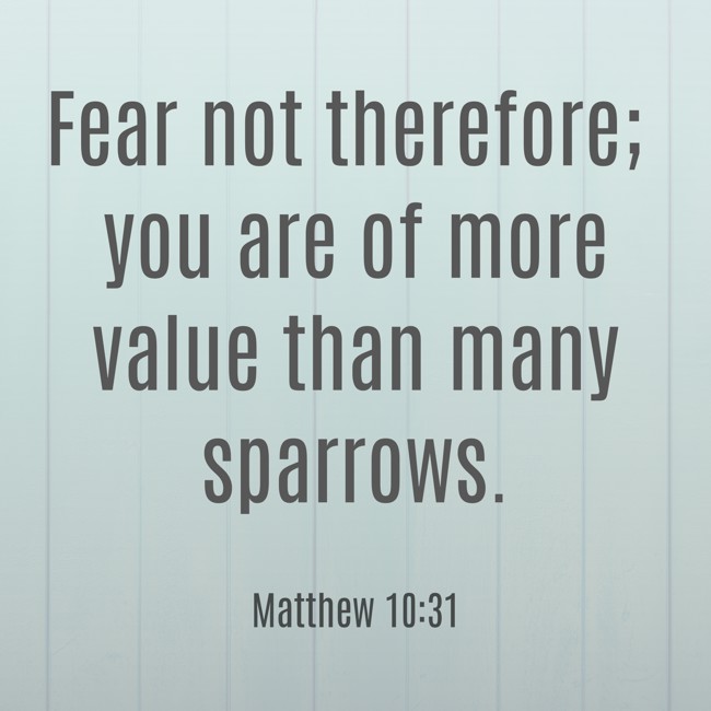 Fear not therefore; you are of more value than many sparrows. - Matthew 10:31