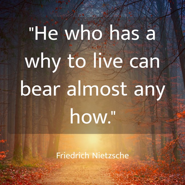 He who has a why to live can bear almost any how. - Friedrich Nietzsche