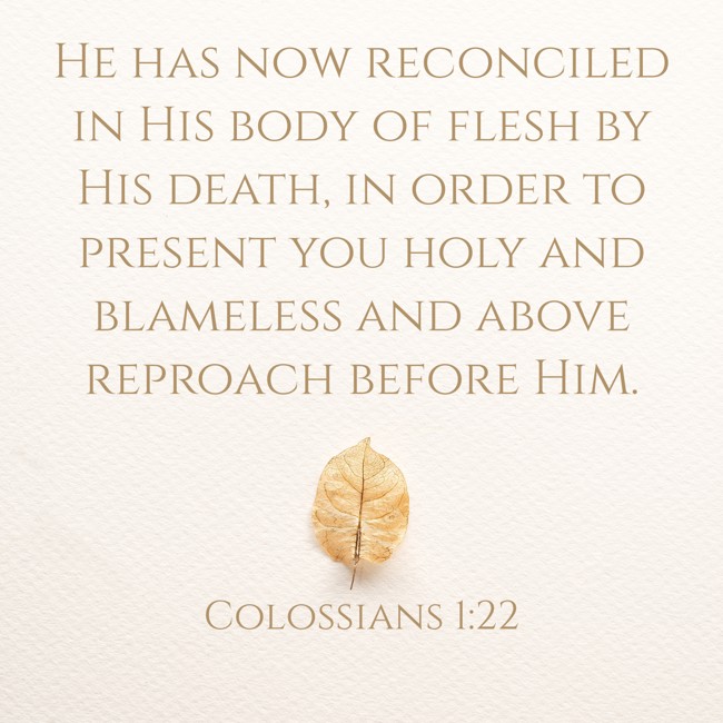 He has now reconciled in His body of flesh by His death, in order to present you holy and blameless and above reproach before Him. - Colossians 1:22