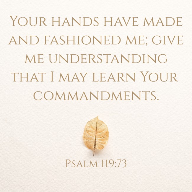 Your hands have made and fashioned me; give me understanding that I may learn Your commandments. - Psalm 119:73