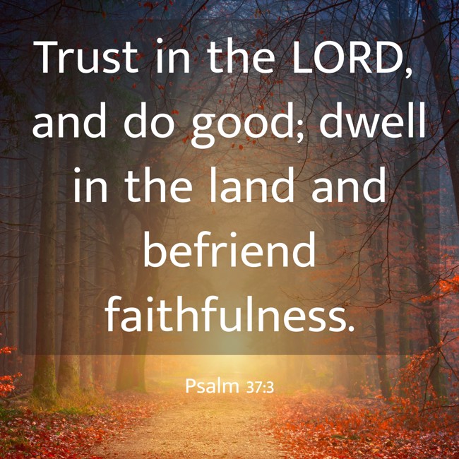 Trust in the LORD, and do good; dwell in the land and befriend faithfulness. - Psalm 37:3