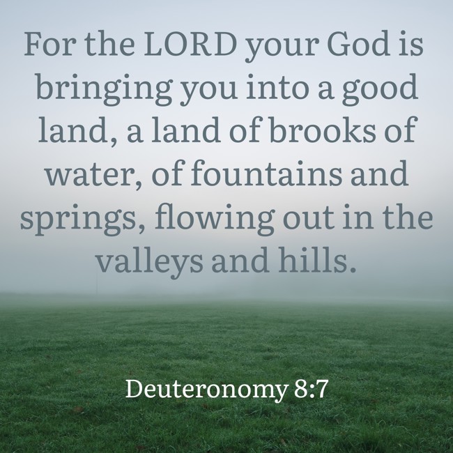 For the LORD your God is bringing you into a good land, a land of brooks of water, of fountains and springs, flowing out in the valleys and hills. - Deuteronomy 8:7