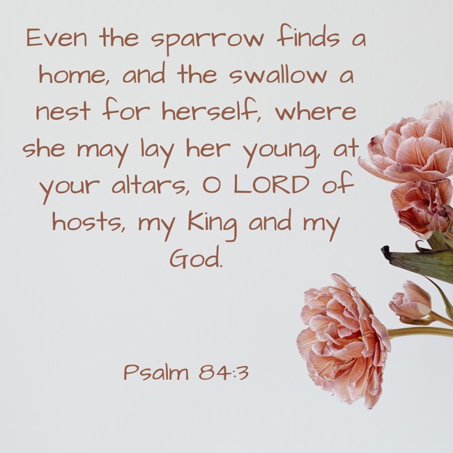 Even the sparrow finds a home, and the swallow a nest for herself, where she may lay her young, at your altars, O LORD of hosts, my King and my God. - Psalm 84:3