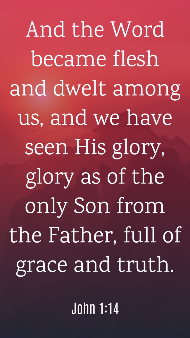 And the Word became flesh and dwelt among us, and we have seen His glory, glory as of the only Son from the Father, full of grace and truth. - John 1:14