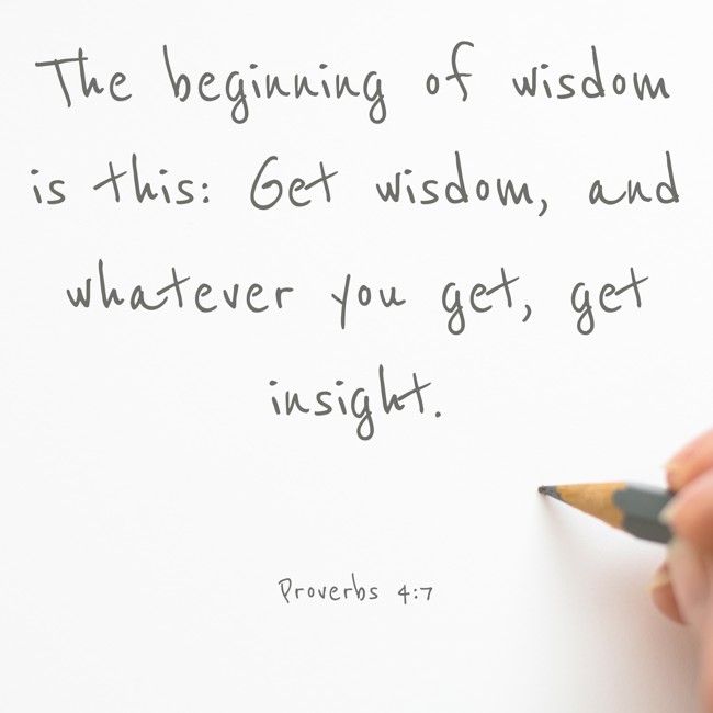  The beginning of wisdom is this: Get wisdom, and whatever you get, get insight.   - Proverbs 4:7 