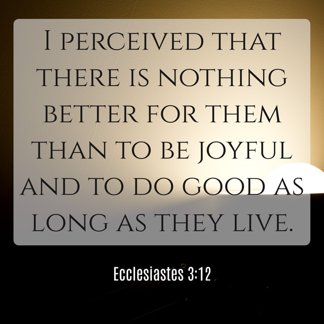  I perceived that there is nothing better for them than to be joyful and to do good as long as they live.   - Ecclesiastes 3:12 
