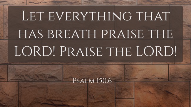  Let everything that has breath praise the LORD! Praise the LORD!   - Psalm 150:6 