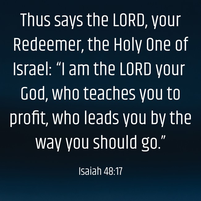 Thus says the LORD, your Redeemer, the Holy One of Israel: “I am the LORD your God, who teaches you to profit, who leads you by the way you should go.” - Isaiah 48:17
