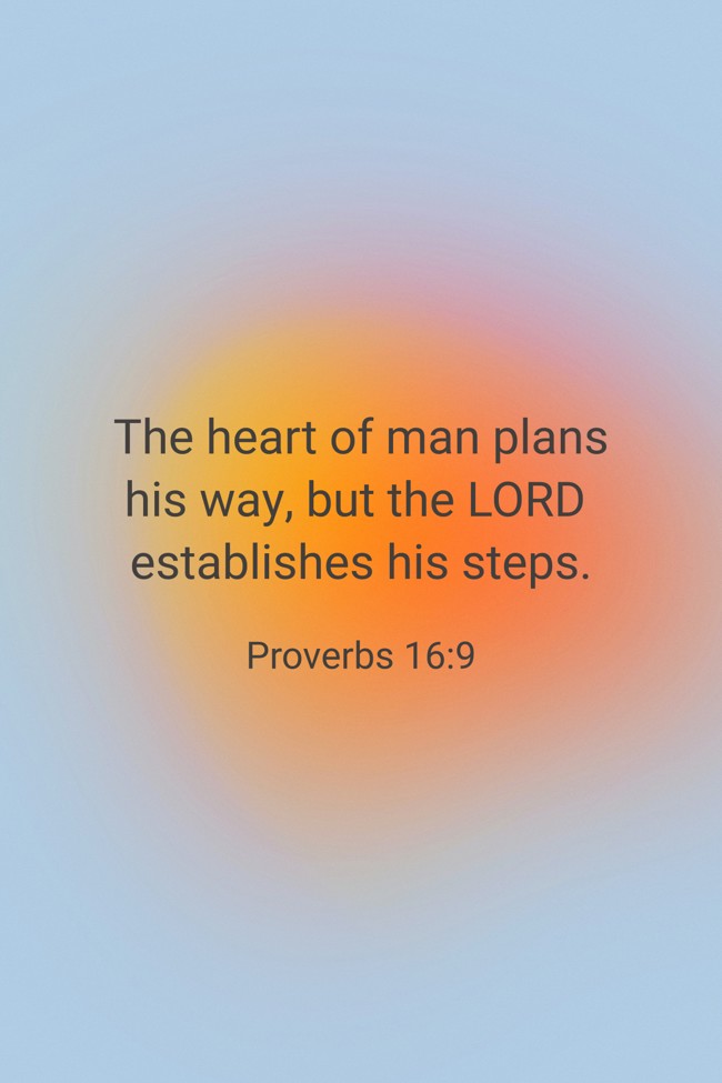  The heart of man plans his way, but the LORD establishes his steps.   - Proverbs 16:9 