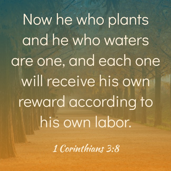 Now he who plants and he who waters are one, and each one will receive his own reward according to his own labor. - 1 Corinthians 3:8