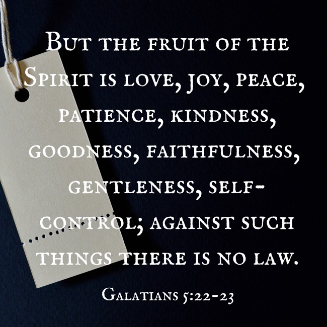  But the fruit of the Spirit is love, joy, peace, patience, kindness, goodness, faithfulness, gentleness, self-control; against such things there is no law.   - Galatians 5:22-23 