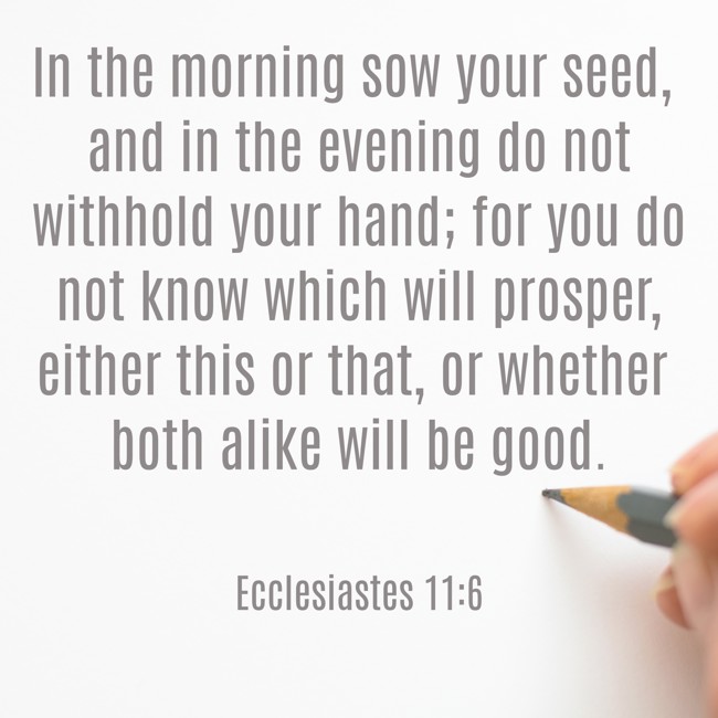 In the morning sow your seed, and in the evening do not withhold your hand; for you do not know which will prosper, either this or that, or whether both alike will be good. - Ecclesiastes 11:6