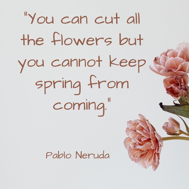  You can cut all the flowers but you cannot keep spring from coming.   - Pablo Neruda 