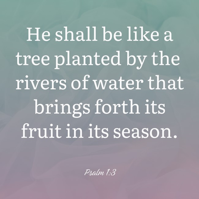 He shall be like a tree planted by the rivers of water that brings forth its fruit in its season. - Psalm 1:3