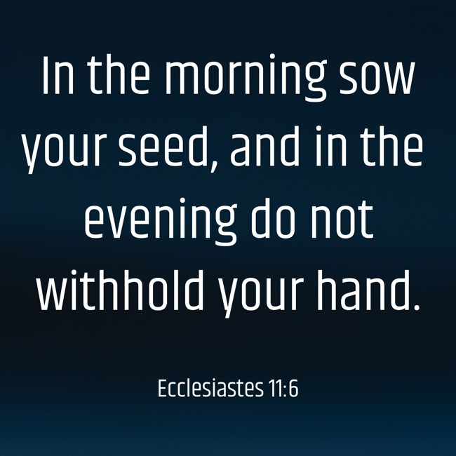 In the morning sow your seed, and in the evening do not withhold your hand. - Ecclesiastes 11:6