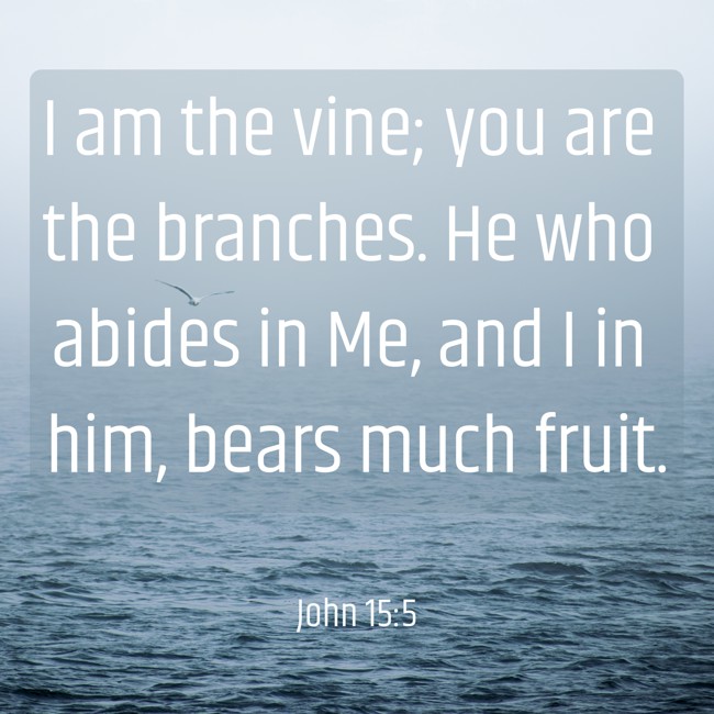 I am the vine; you are the branches. He who abides in Me, and I in him, bears much fruit. - John 15:5