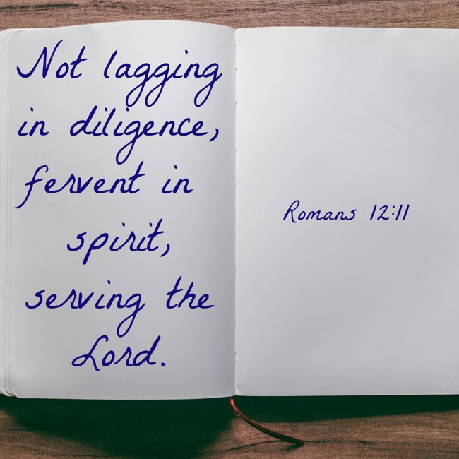 Not lagging in diligence, fervent in spirit, serving the Lord. - Romans 12:11