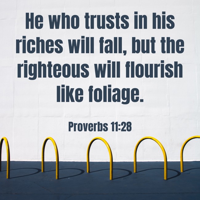 He who trusts in his riches will fall, but the righteous will flourish like foliage. - Proverbs 11:28