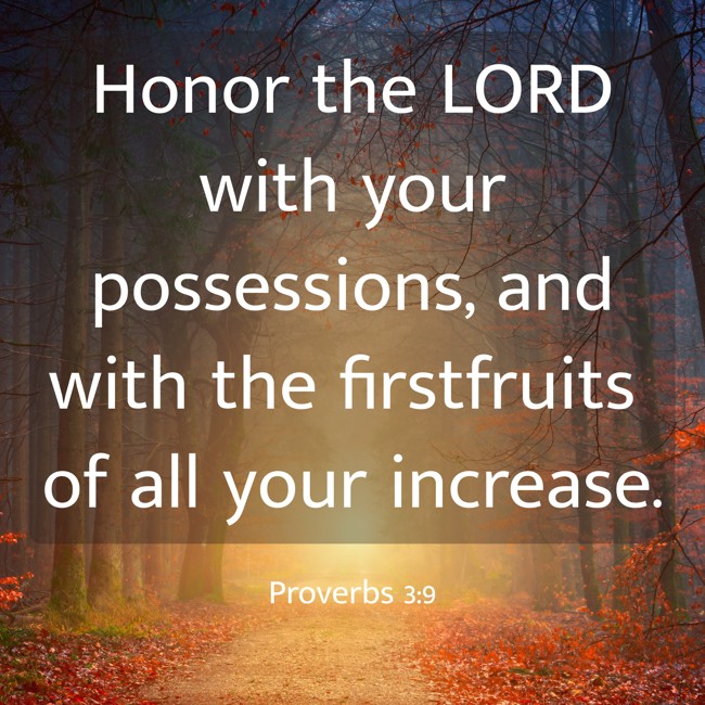Honor the LORD with your possessions, and with the firstfruits of all your increase. - Proverbs 3:9