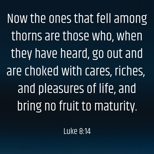 Now the ones that fell among thorns are those who, when they have heard, go out and are choked with cares, riches, and pleasures of life, and bring no fruit to maturity. - Luke 8:14
