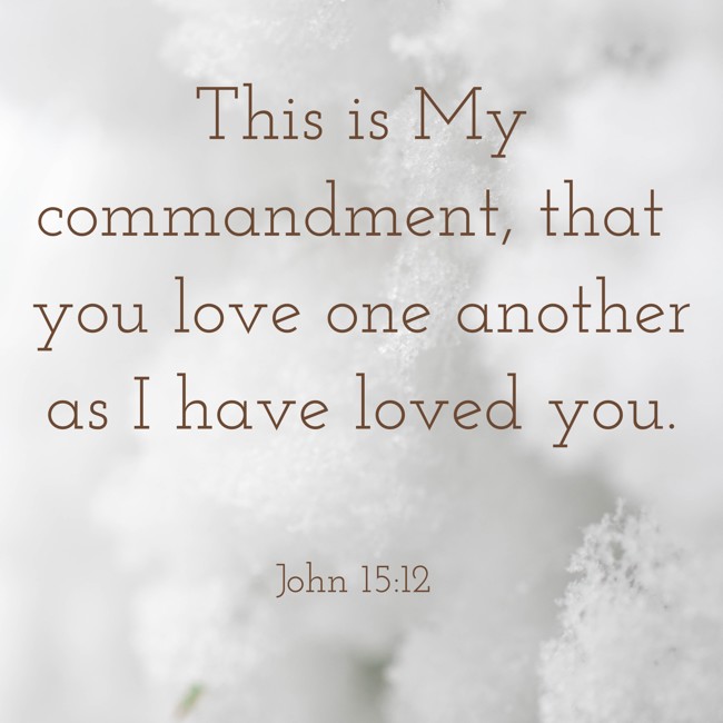 This is My commandment, that you love one another as I have loved you. - John 15:12