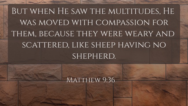 But when He saw the multitudes, He was moved with compassion for them, because they were weary and scattered, like sheep having no shepherd. - Matthew 9:36