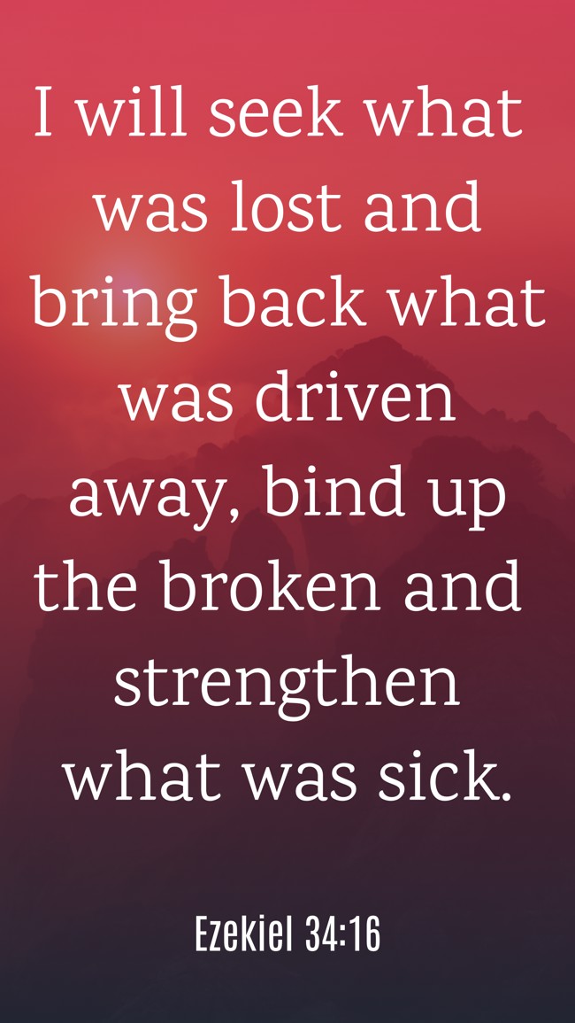 I will seek what was lost and bring back what was driven away, bind up the broken and strengthen what was sick. - Ezekiel 34:16