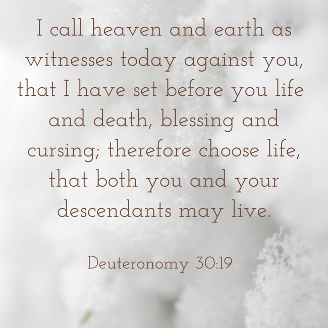I call heaven and earth as witnesses today against you, that I have set before you life and death, blessing and cursing; therefore choose life, that both you and your descendants may live. - Deuteronomy 30:19