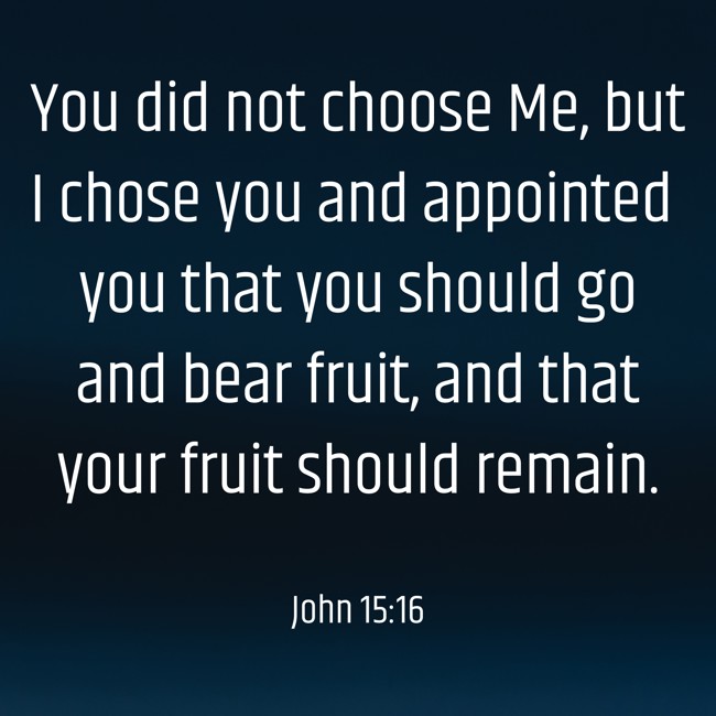 You did not choose Me, but I chose you and appointed you that you should go and bear fruit, and that your fruit should remain. - John 15:16