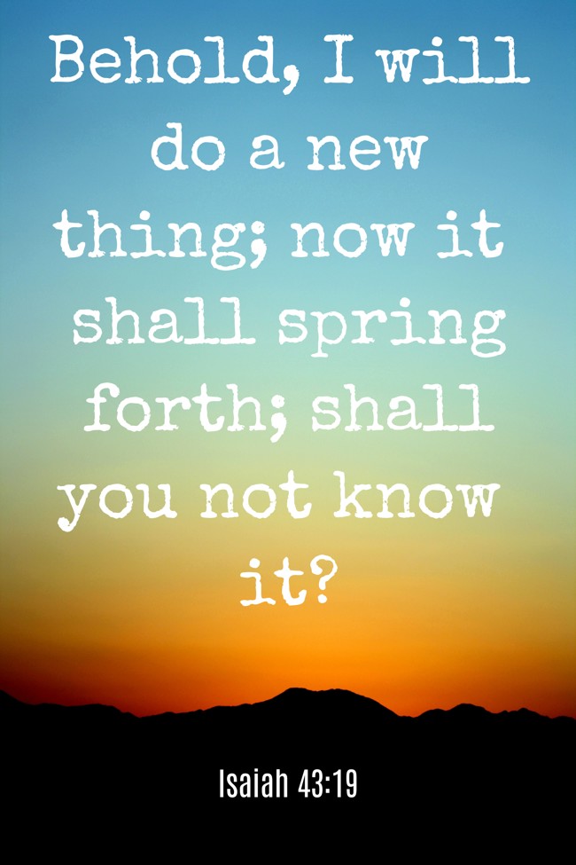 Behold, I will do a new thing; now it shall spring forth; shall you not know it? - Isaiah 43:19