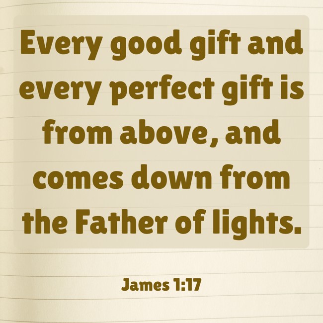 Every good gift and every perfect gift is from above, and comes down from the Father of lights. - James 1:17