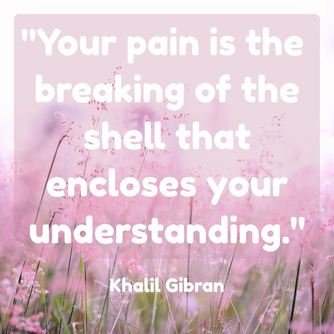 Your pain is the breaking of the shell that encloses your understanding. - Khalil Gibran