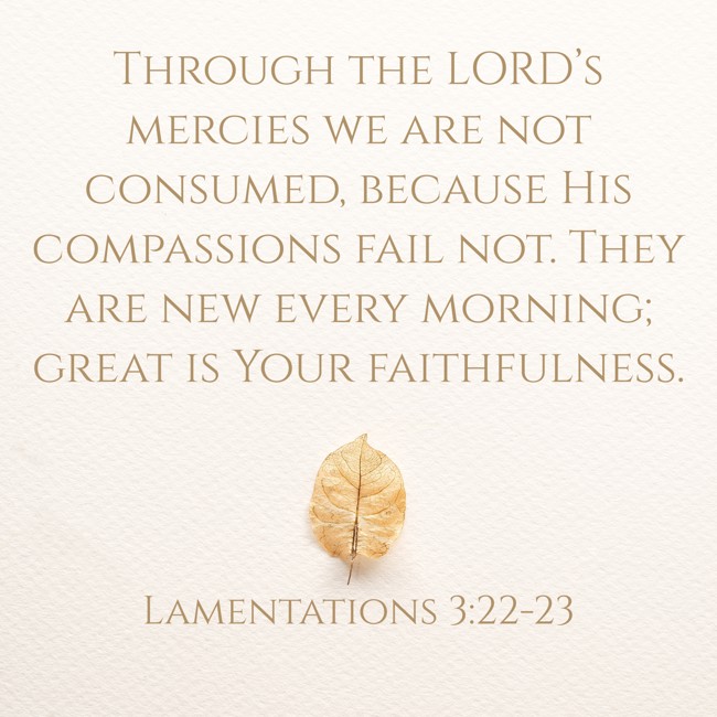 Through the LORD’s mercies we are not consumed, because His compassions fail not. They are new every morning; great is Your faithfulness. - Lamentations 3:22-23
