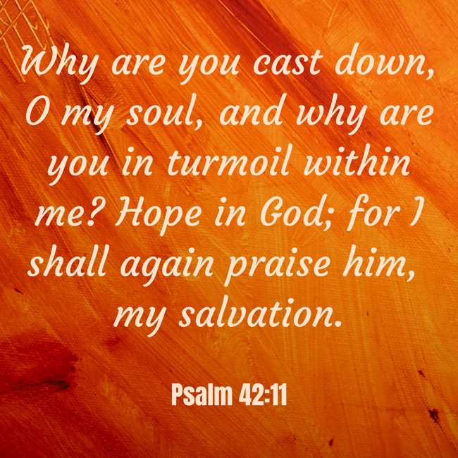 Why are you cast down, O my soul, and why are you in turmoil within me? Hope in God; for I shall again praise him, my salvation. - Psalm 42:11