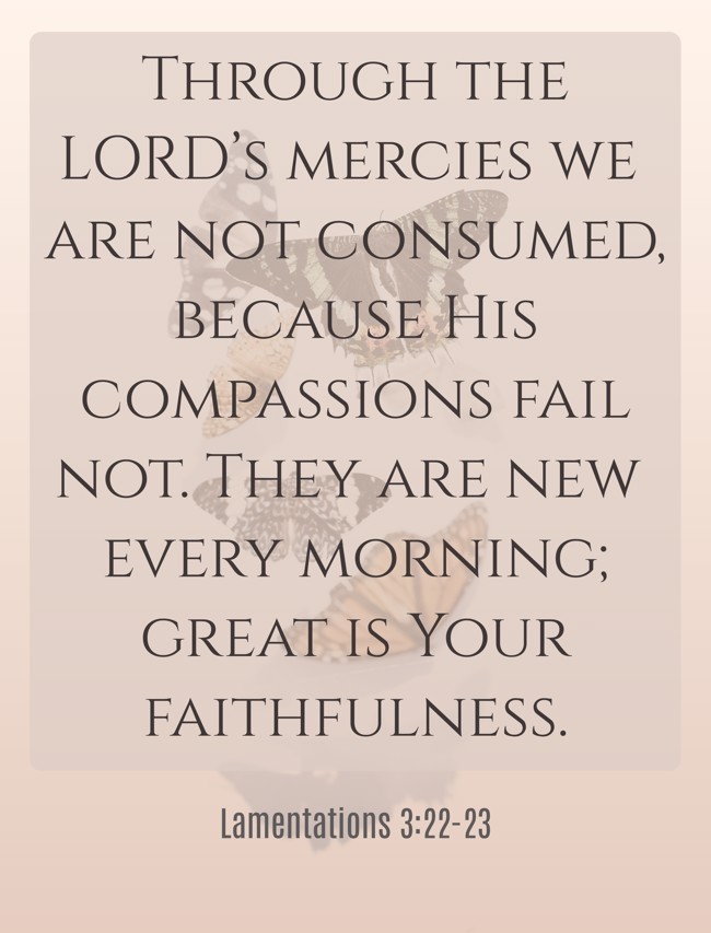  Through the LORD’s mercies we are not consumed, because His compassions fail not. They are new every morning; great is Your faithfulness.   - Lamentations 3:22-23 