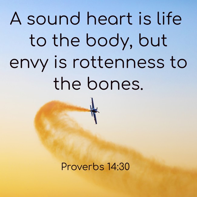  A sound heart is life to the body, but envy is rottenness to the bones.   - Proverbs 14:30 