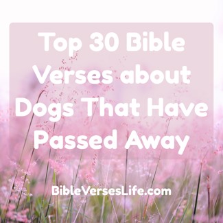 Top 30 Bible Verses about Dogs That Have Passed Away