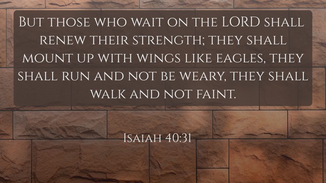  But those who wait on the LORD shall renew their strength; they shall mount up with wings like eagles, they shall run and not be weary, they shall walk and not faint.   - Isaiah 40:31 