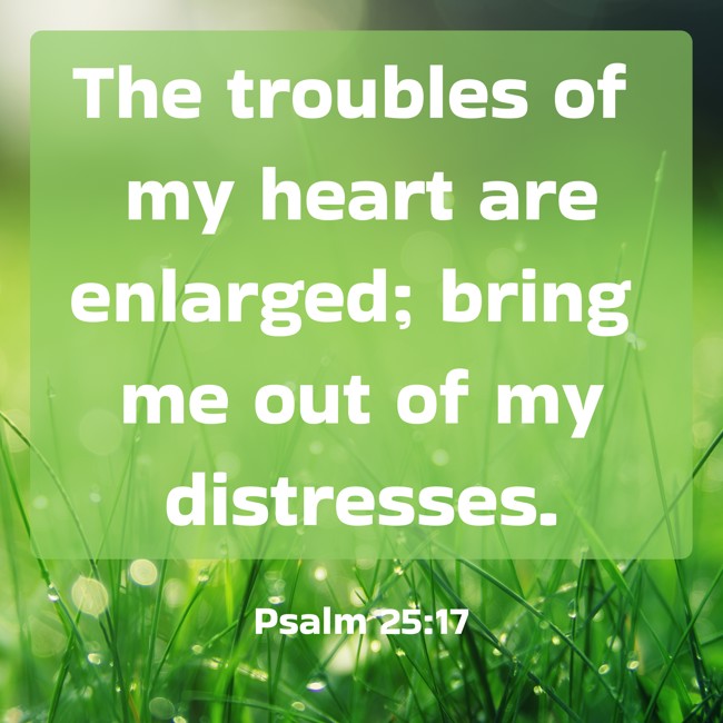 The troubles of my heart are enlarged; bring me out of my distresses. - Psalm 25:17