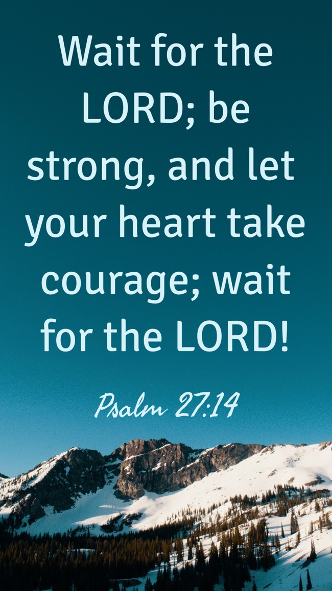 Wait for the LORD; be strong, and let your heart take courage; wait for the LORD! - Psalm 27:14