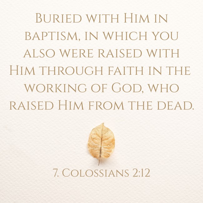 Buried with Him in baptism, in which you also were raised with Him through faith in the working of God, who raised Him from the dead. - 7. Colossians 2:12
