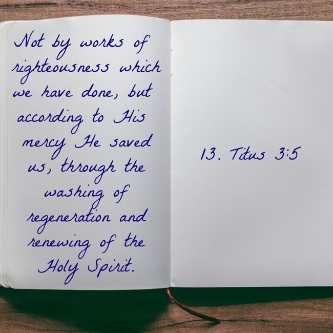 Not by works of righteousness which we have done, but according to His mercy He saved us, through the washing of regeneration and renewing of the Holy Spirit. - 13. Titus 3:5