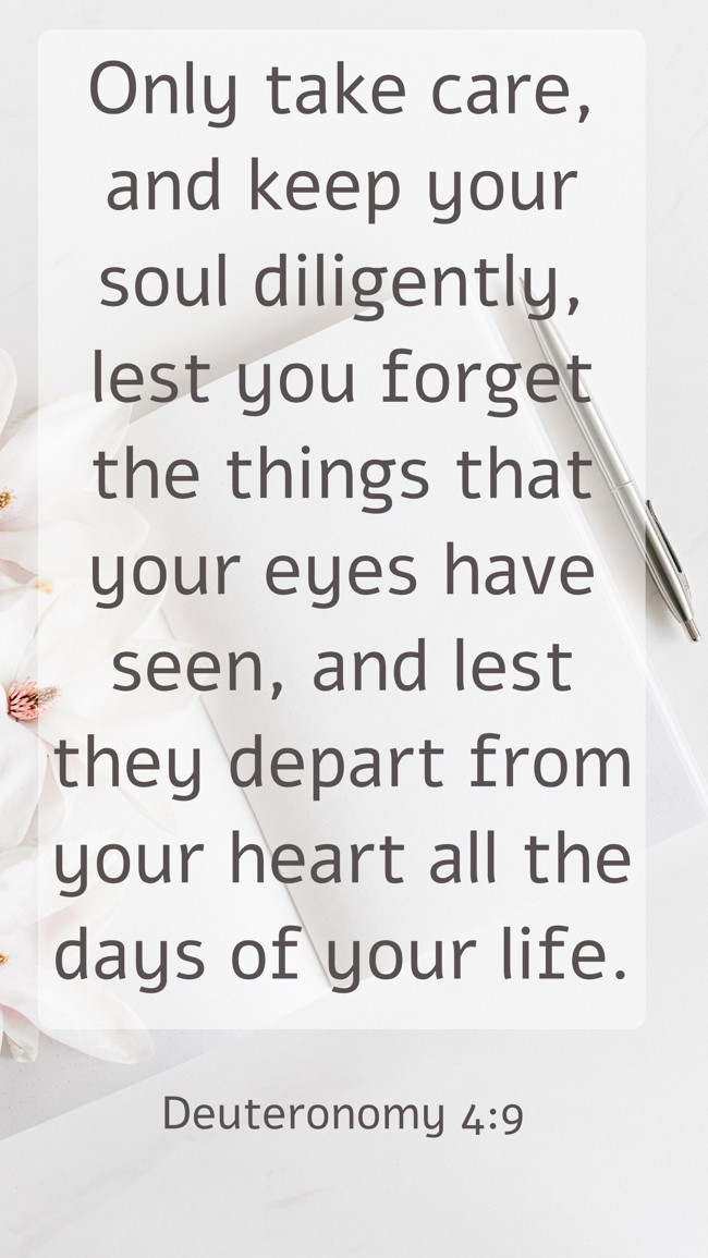 Only take care, and keep your soul diligently, lest you forget the things that your eyes have seen, and lest they depart from your heart all the days of your life. - Deuteronomy 4:9