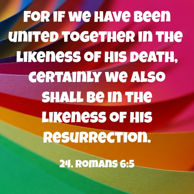 For if we have been united together in the likeness of His death, certainly we also shall be in the likeness of His resurrection. - 24. Romans 6:5