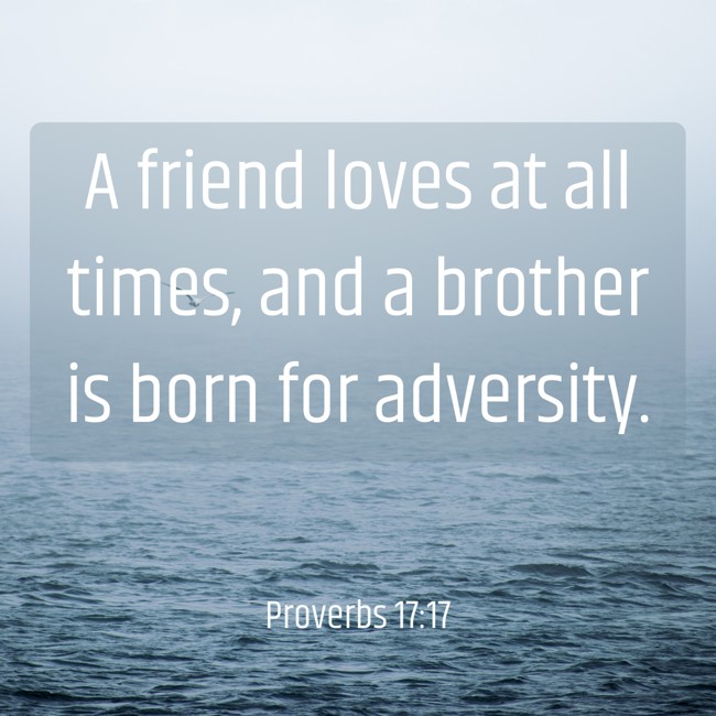  A friend loves at all times, and a brother is born for adversity.   - Proverbs 17:17 