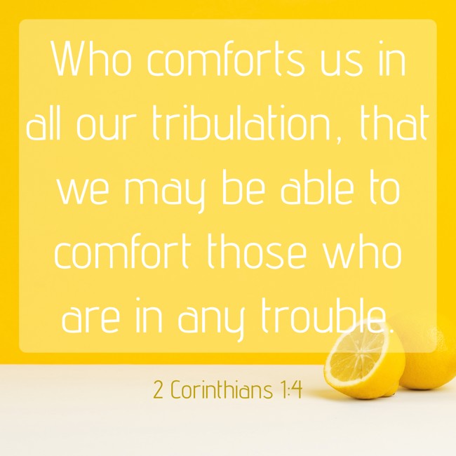  Who comforts us in all our tribulation, that we may be able to comfort those who are in any trouble.   - 2 Corinthians 1:4 